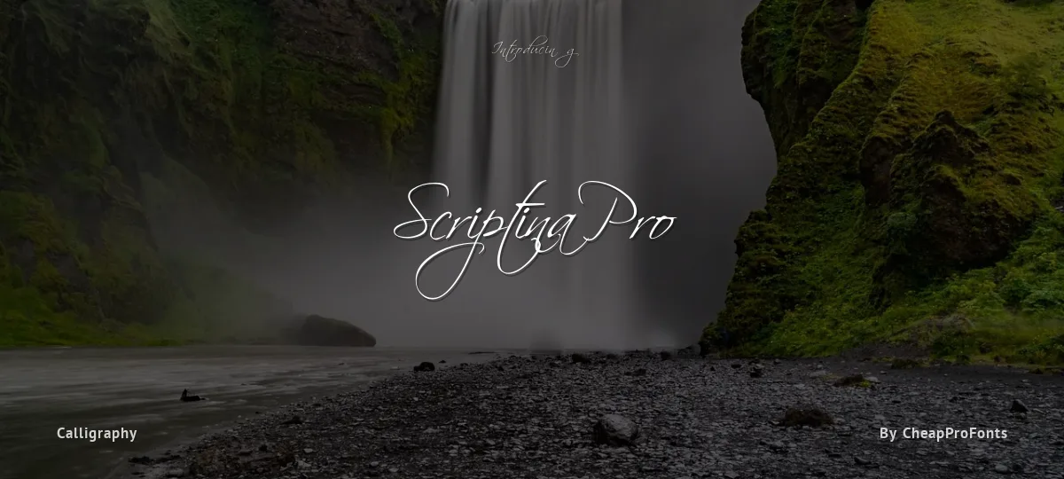 Scriptina Pro font preview