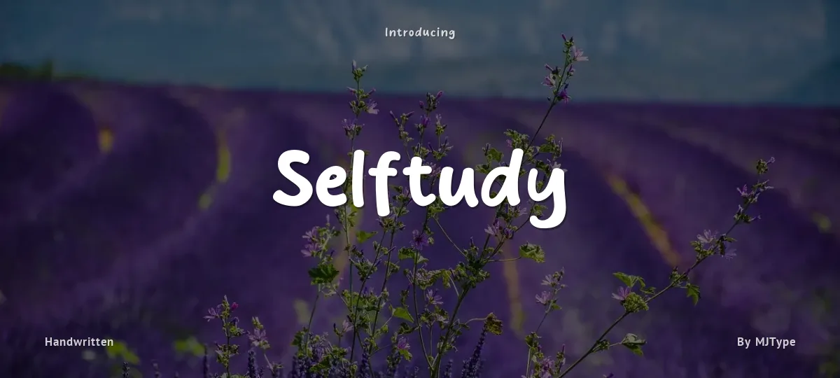 Selftudy font preview