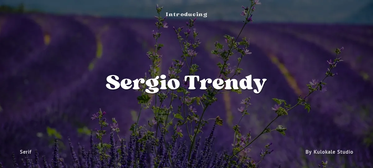 Sergio Trendy font preview