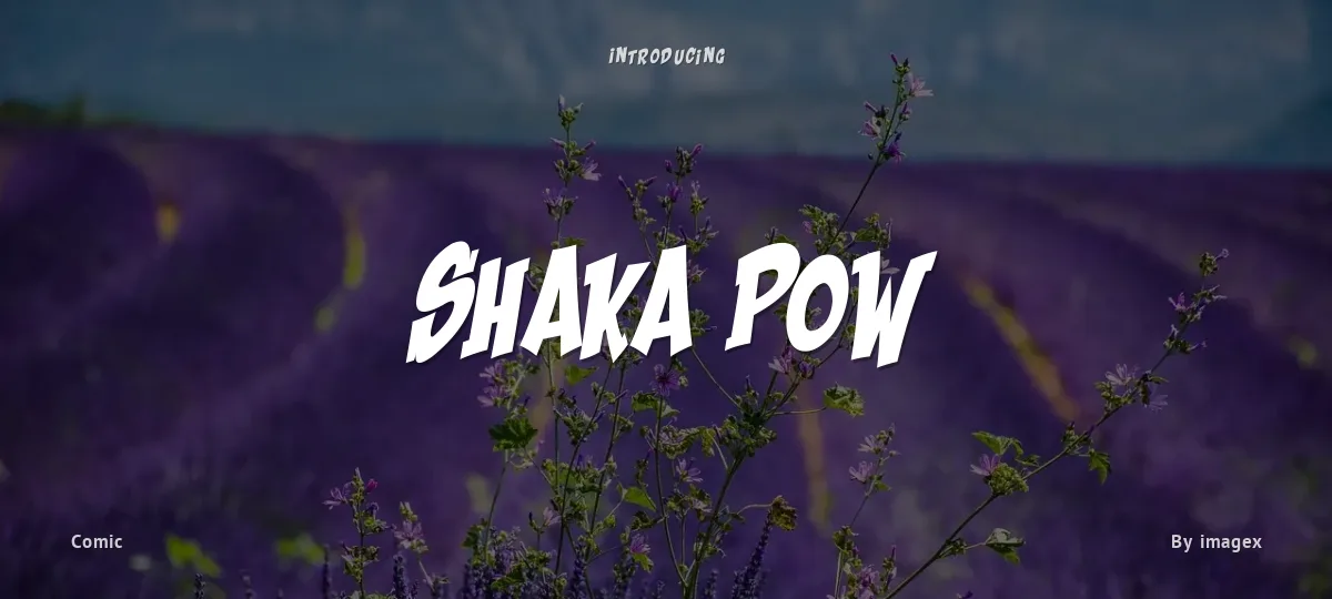Shaka Pow font preview