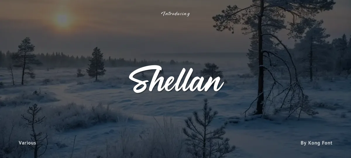 Shellan font preview
