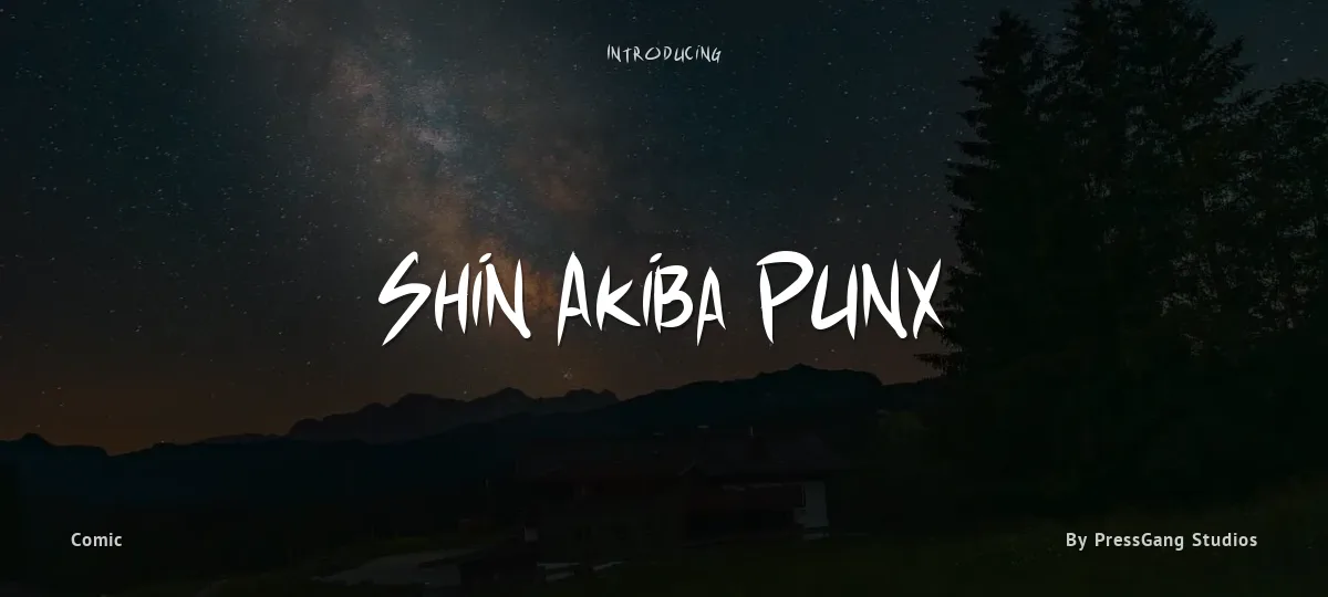 Shin Akiba Punx font preview