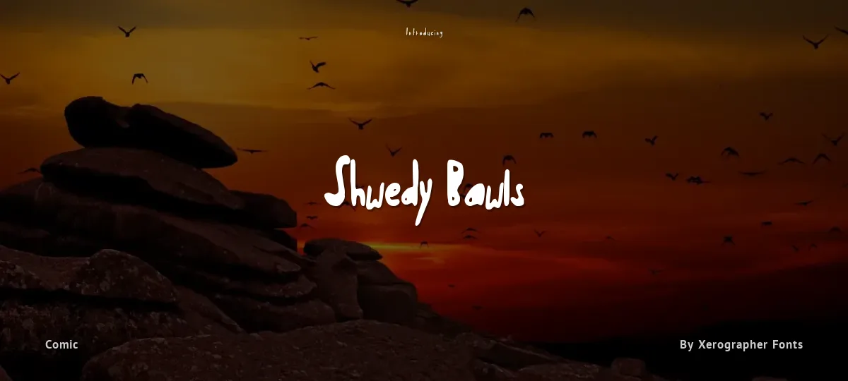 Shwedy Bawls font preview