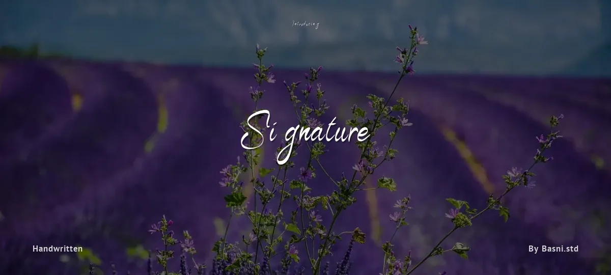 Signature font preview
