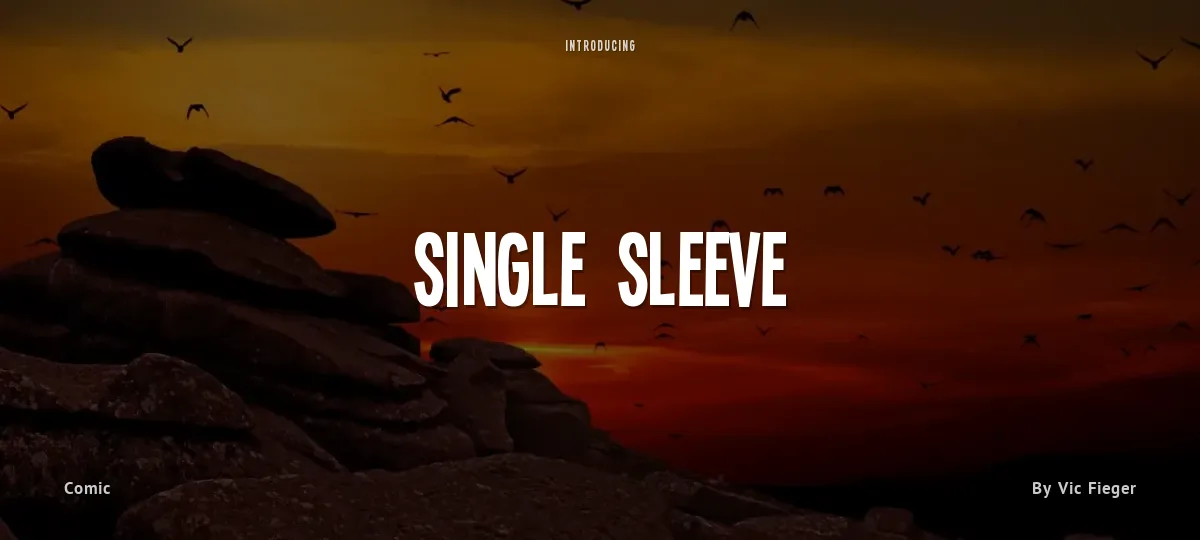 Single Sleeve font preview
