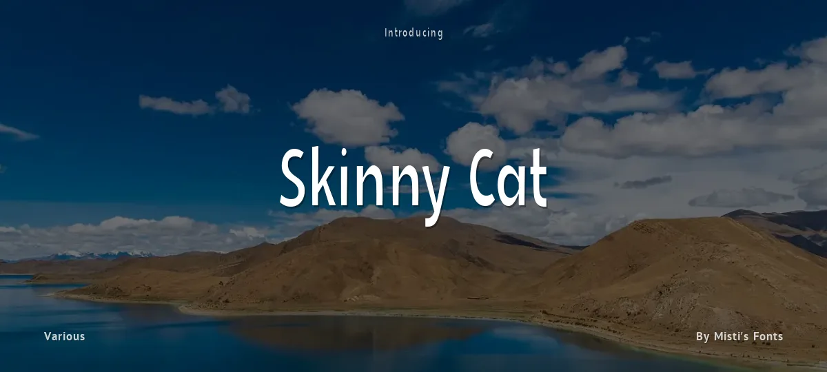 Skinny Cat font preview