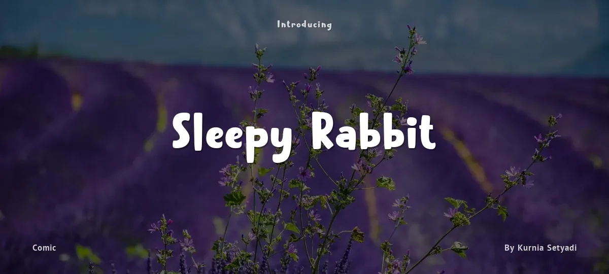 Sleepy Rabbit font preview
