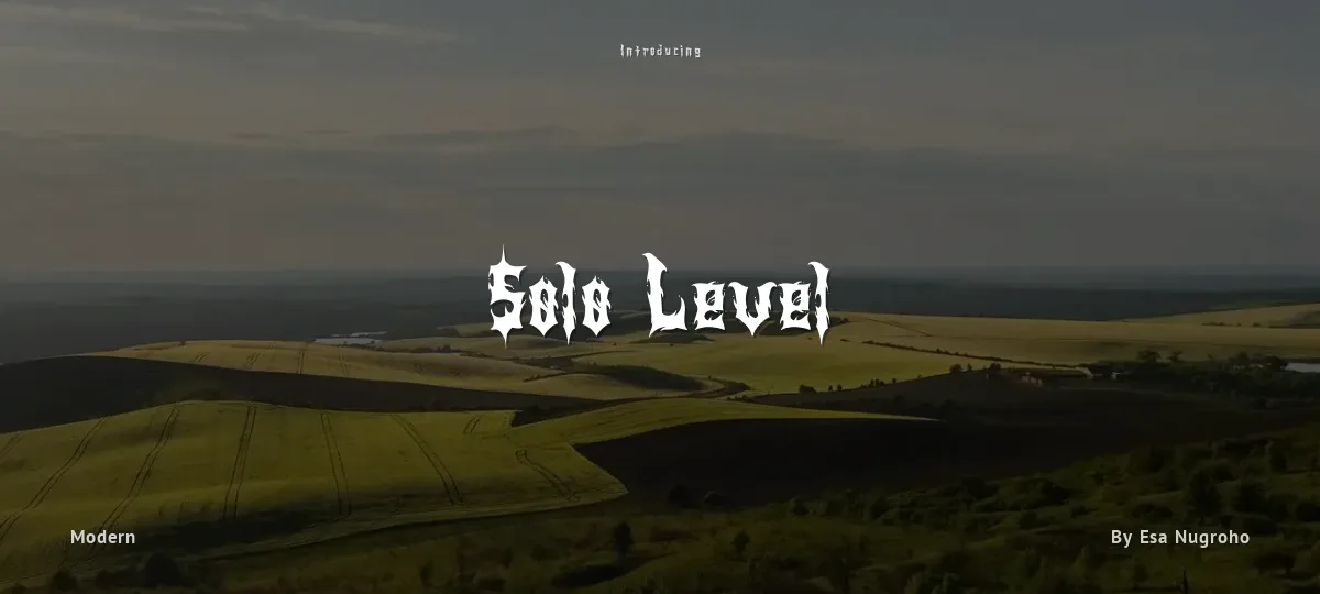 Solo Level font preview