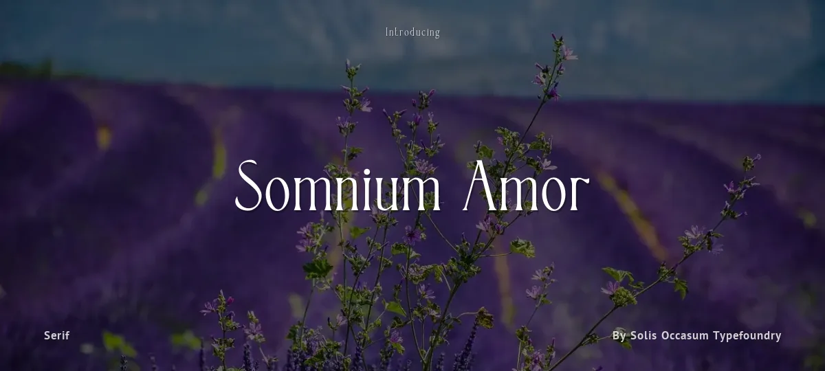 Somnium Amor font preview