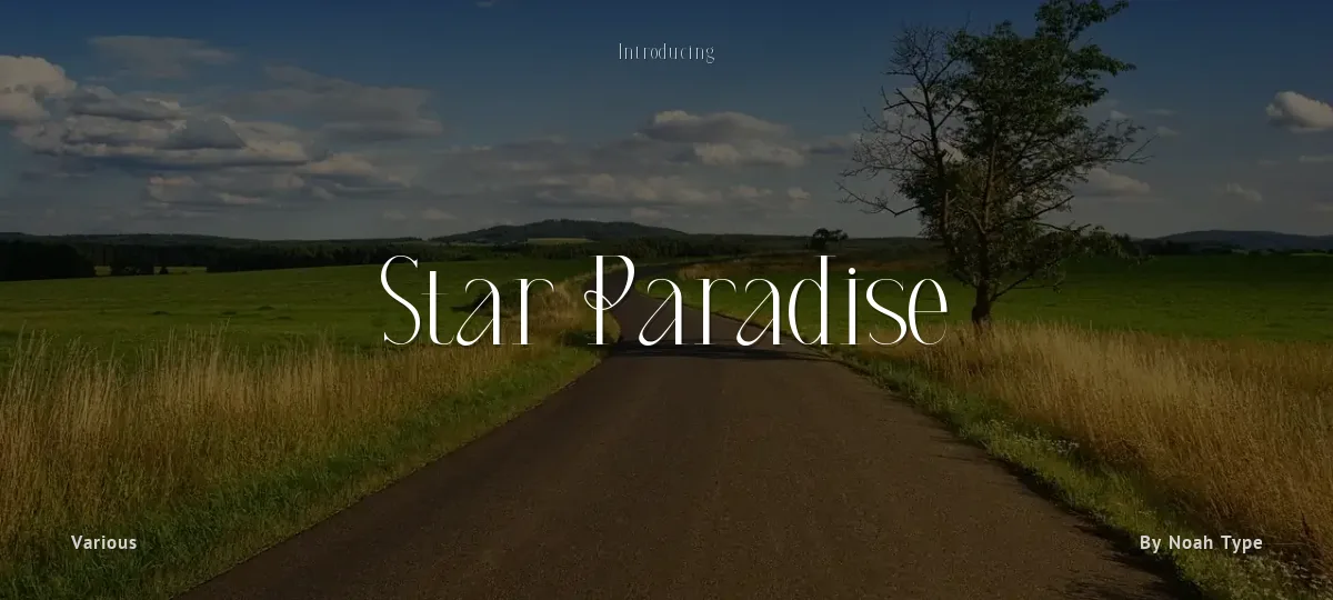 Star Paradise font preview
