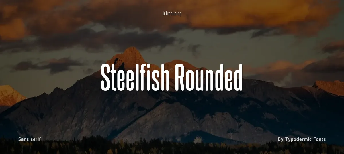 Steelfish Rounded font preview