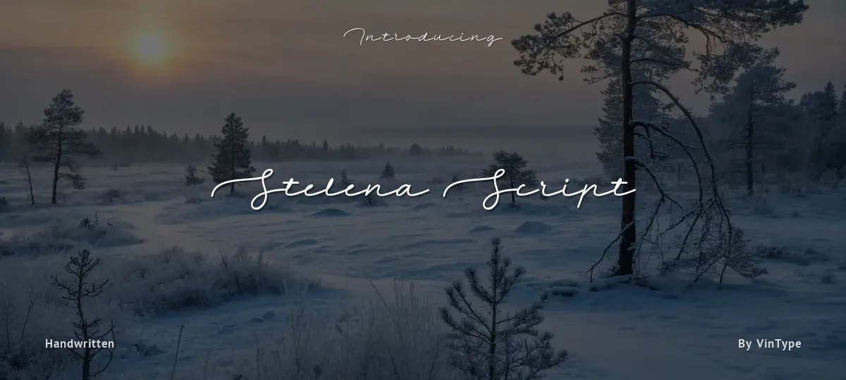 Stelena Script font preview