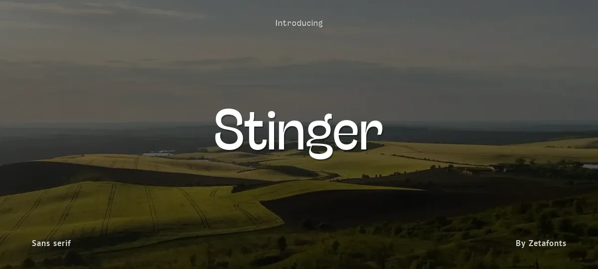 Stinger font preview