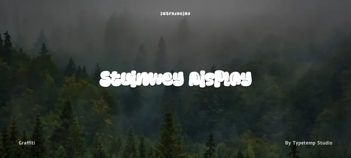 Stuinwey Display font preview