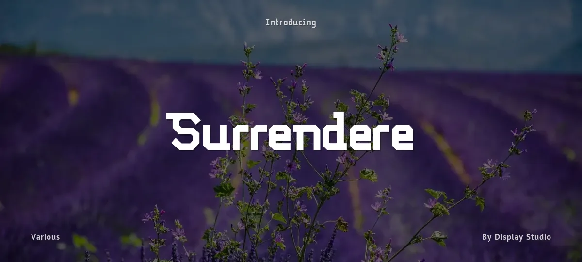 Surrendere font preview