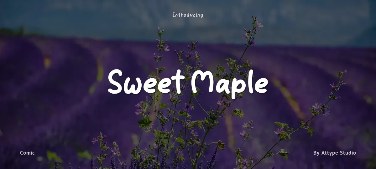 Sweet Maple font preview