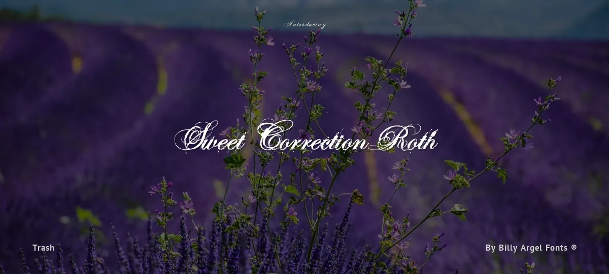 Sweet Correction Roth font preview