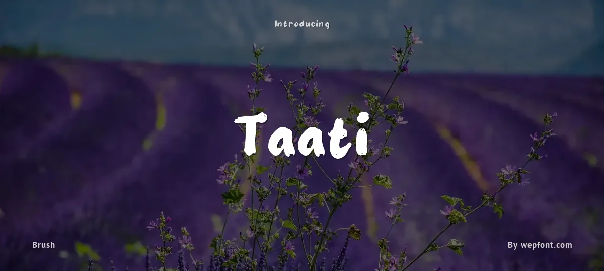 Taati font preview