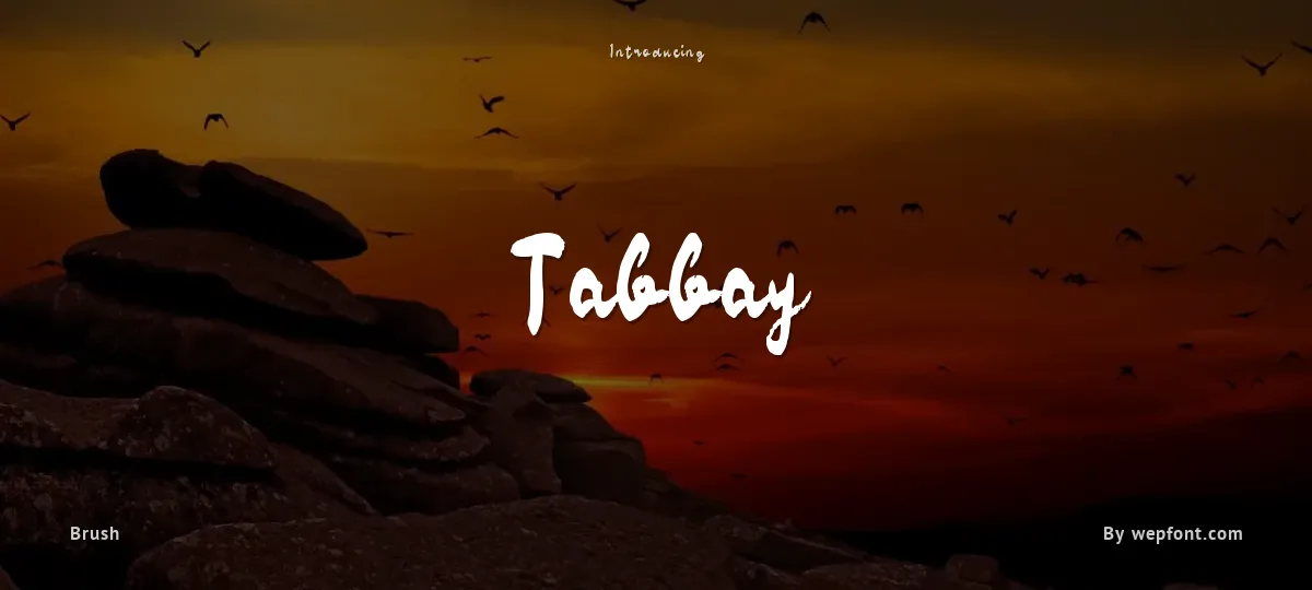 Tabbay font preview