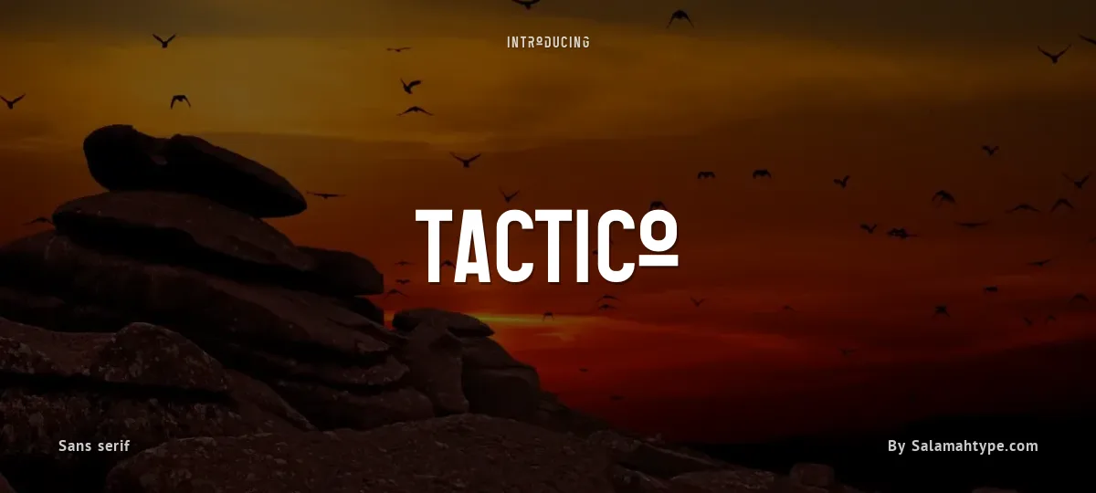 Tactico font preview