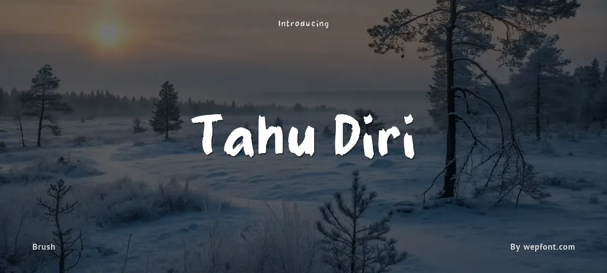 Tahu Diri font preview