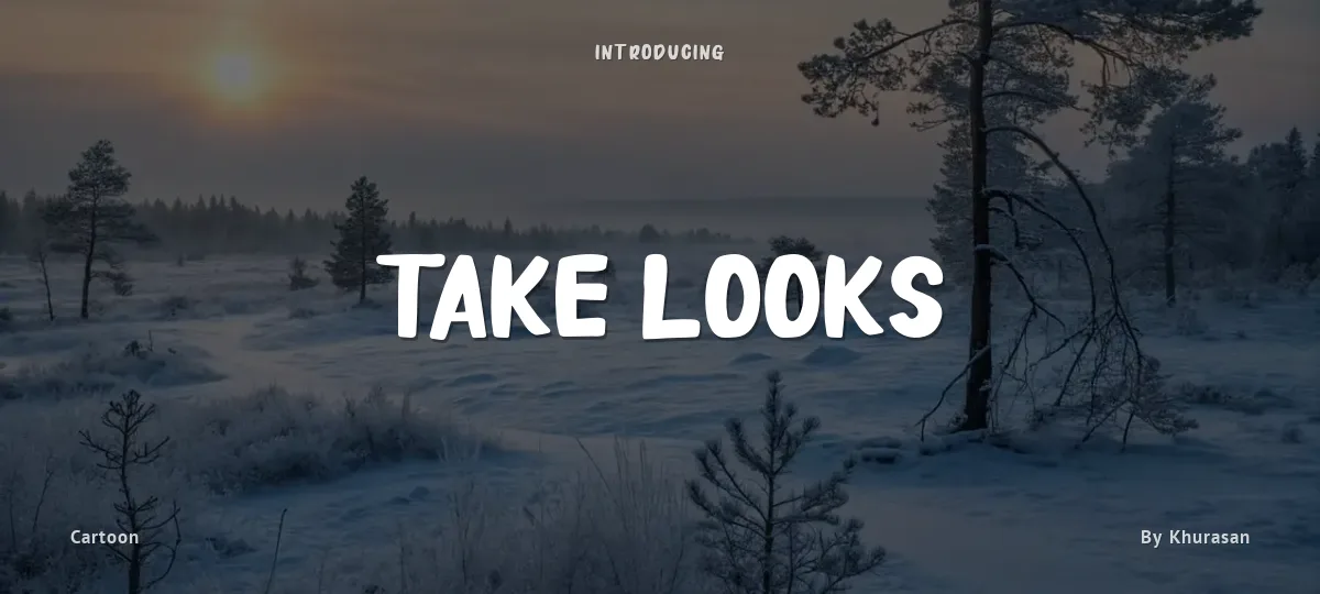 Take Looks font preview