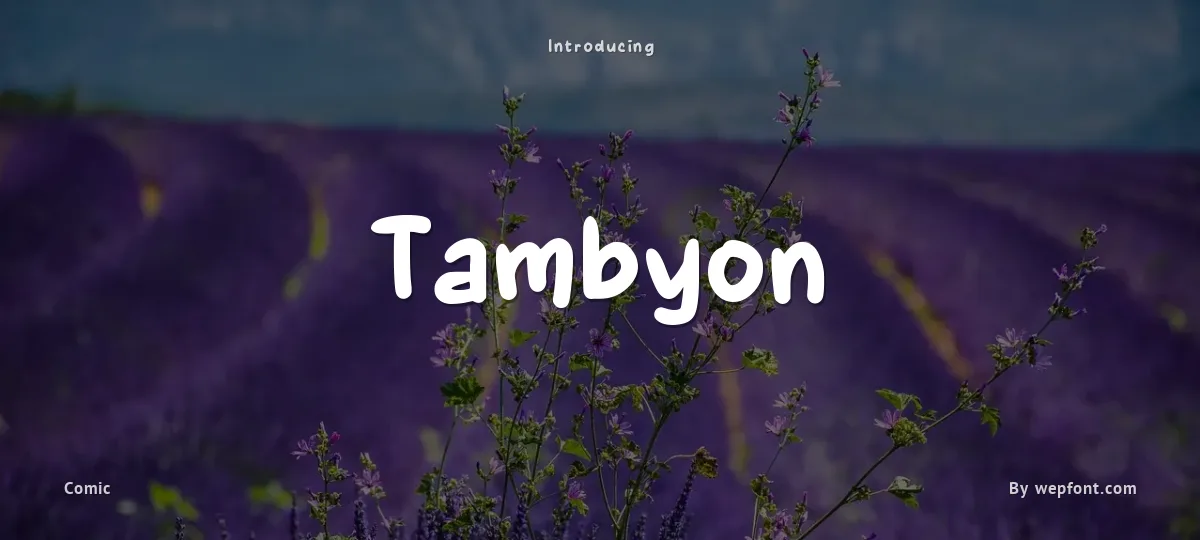 Tambyon font preview