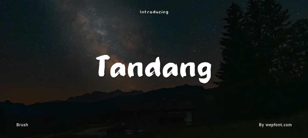 Tandang font preview