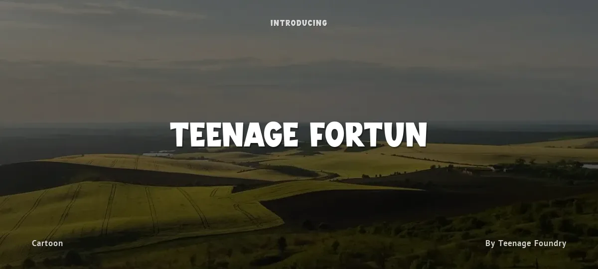 Teenage Fortun font preview