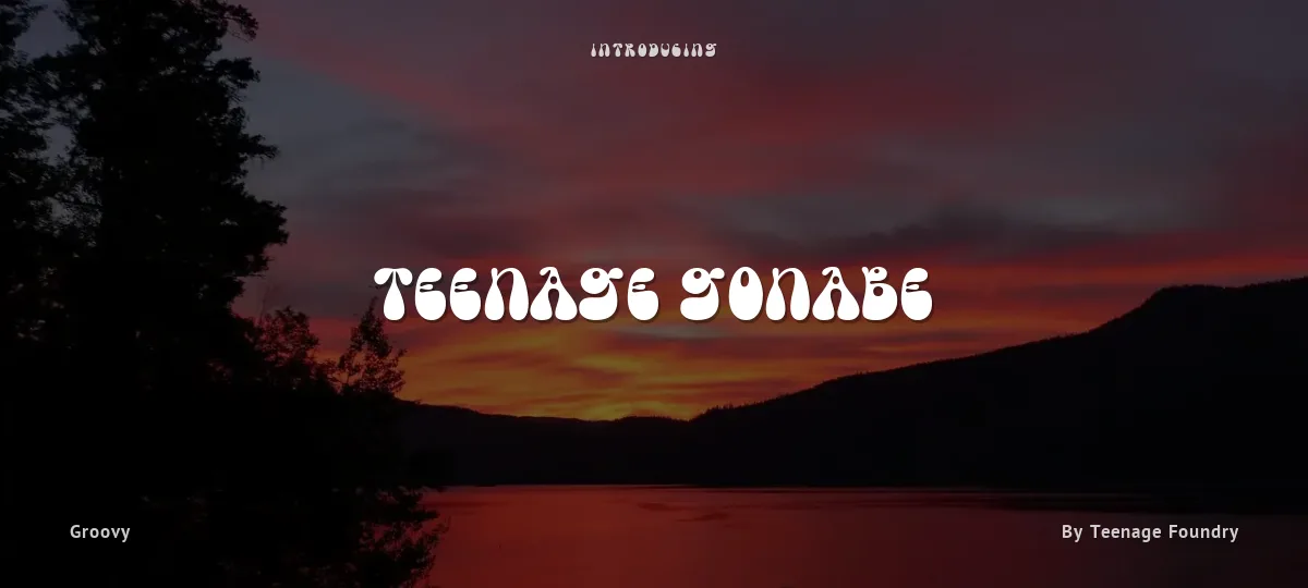 Teenage Gonabe font preview