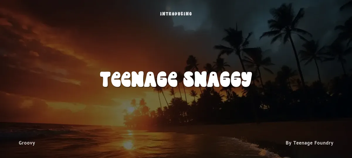 Teenage Snaggy font preview