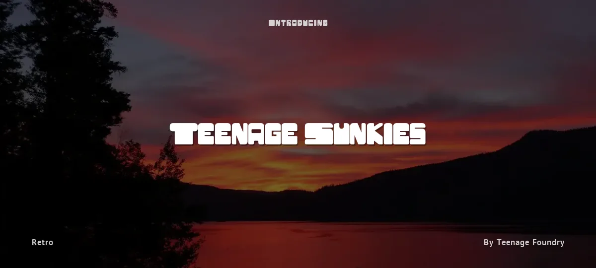 Teenage Sunkies font preview