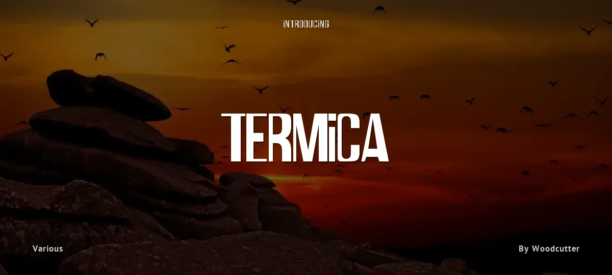 Termica font preview