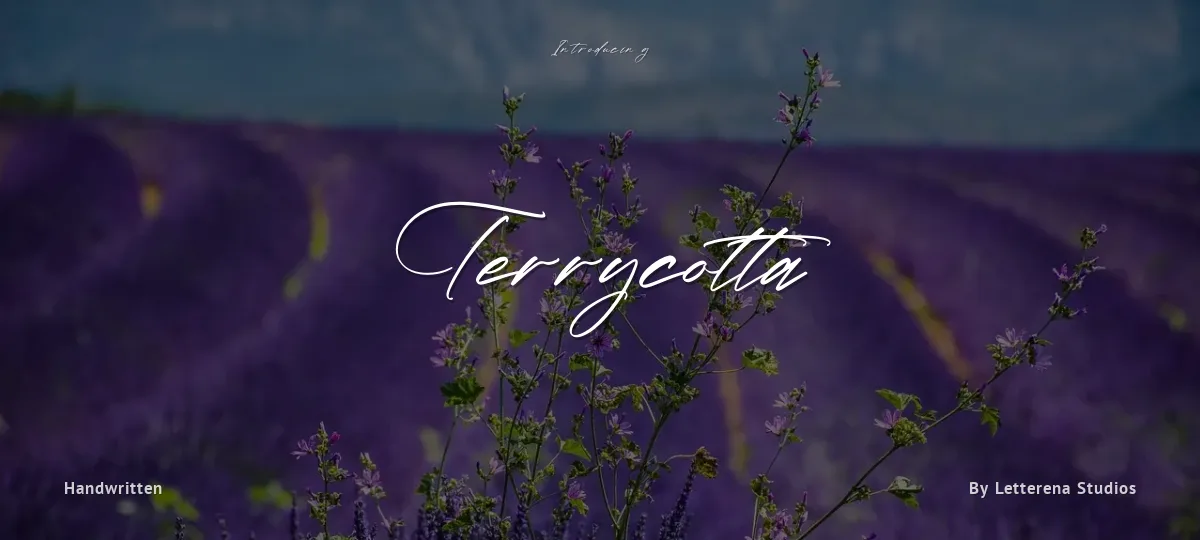 Terrycotta font preview