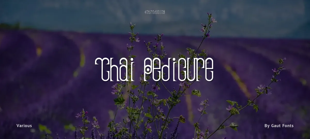 Thai Pedicure font preview
