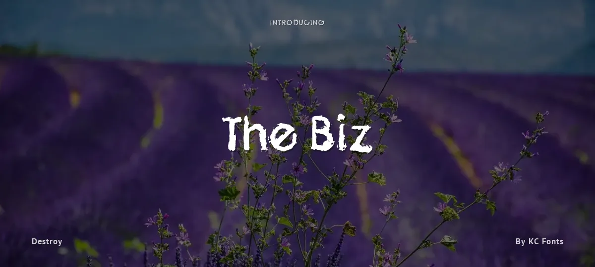 The Biz font preview