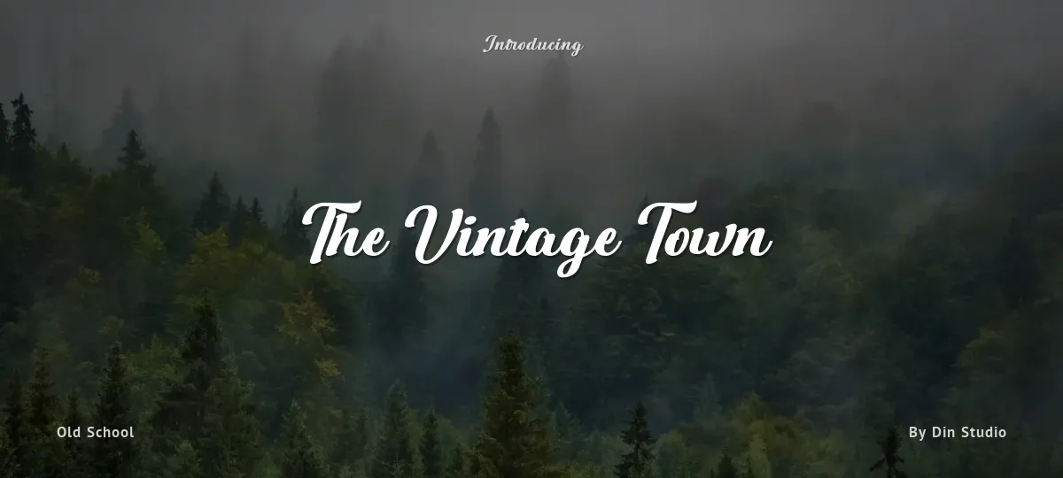The Vintage Town font preview