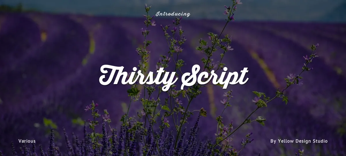 Thirsty Script font preview