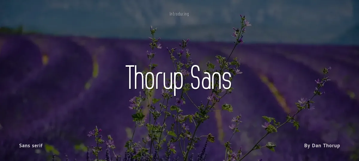 Thorup Sans font preview