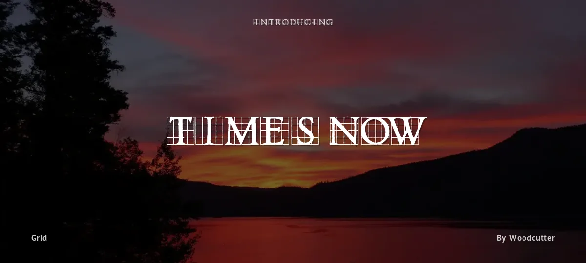 Times now font preview