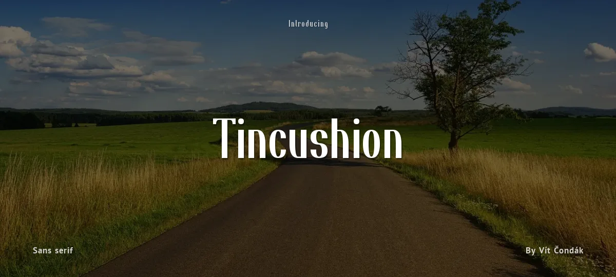 Tincushion font preview
