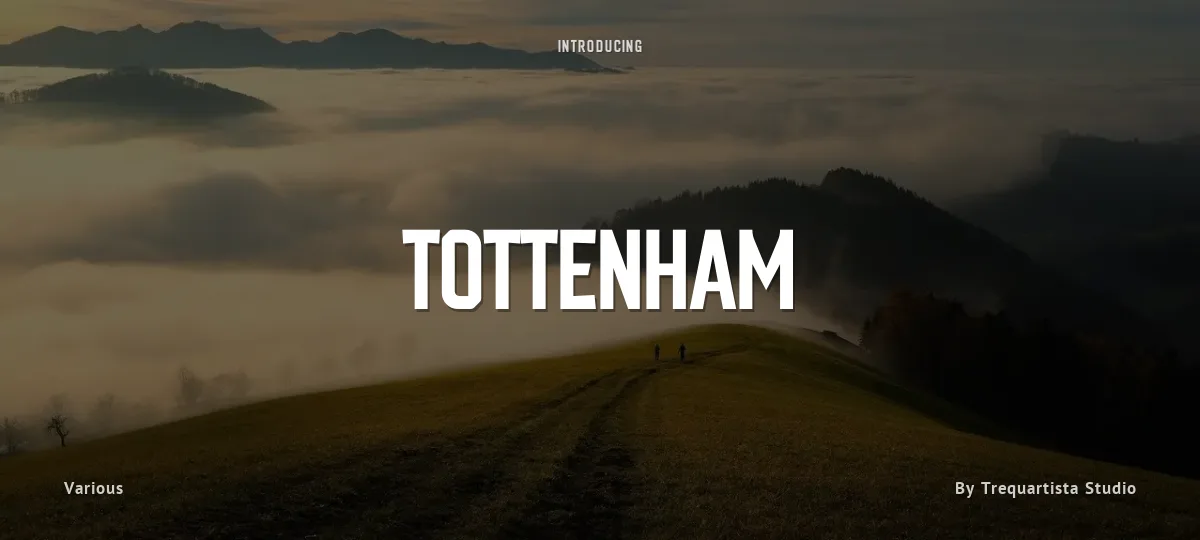 Tottenham font preview