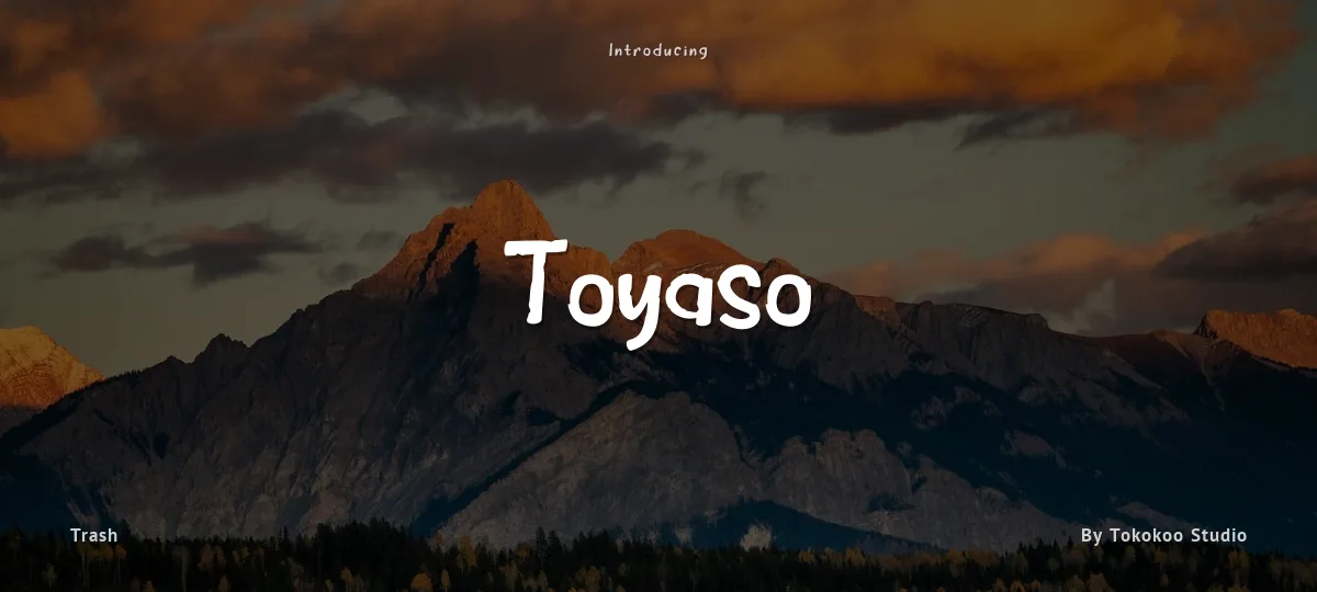 Toyaso font preview