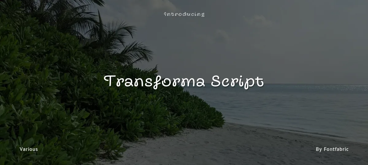 Transforma Script font preview