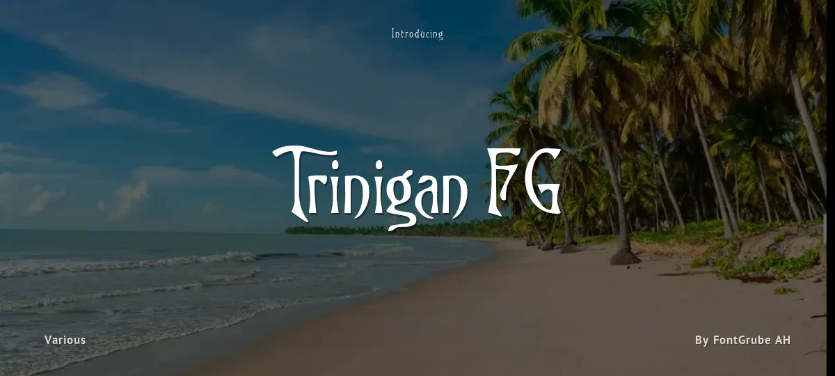 Trinigan FG font preview
