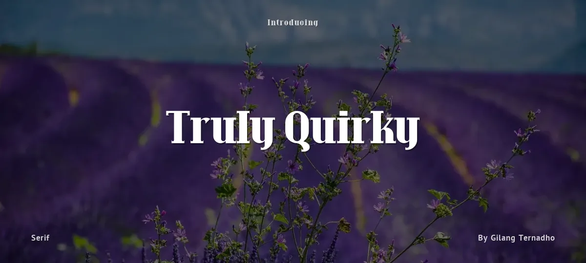 Truly Quirky font preview