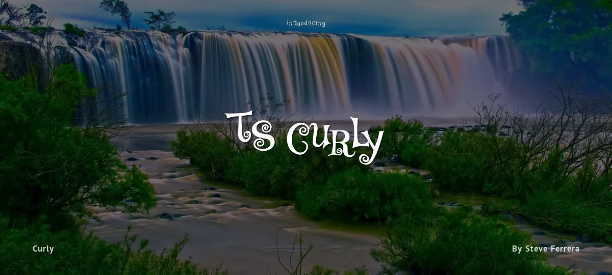 TS Curly font preview