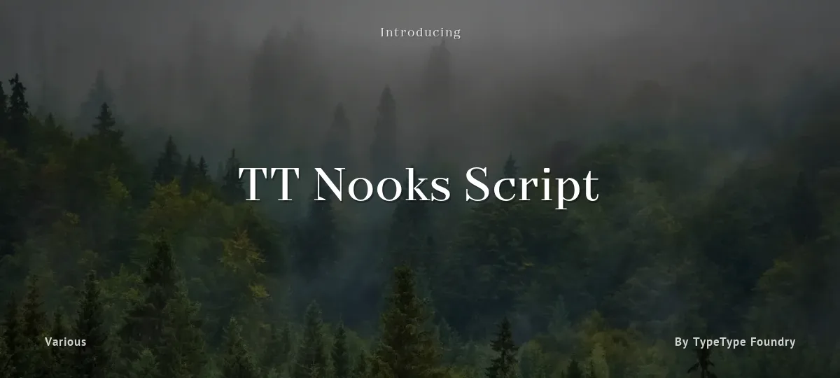 TT Nooks Script font preview