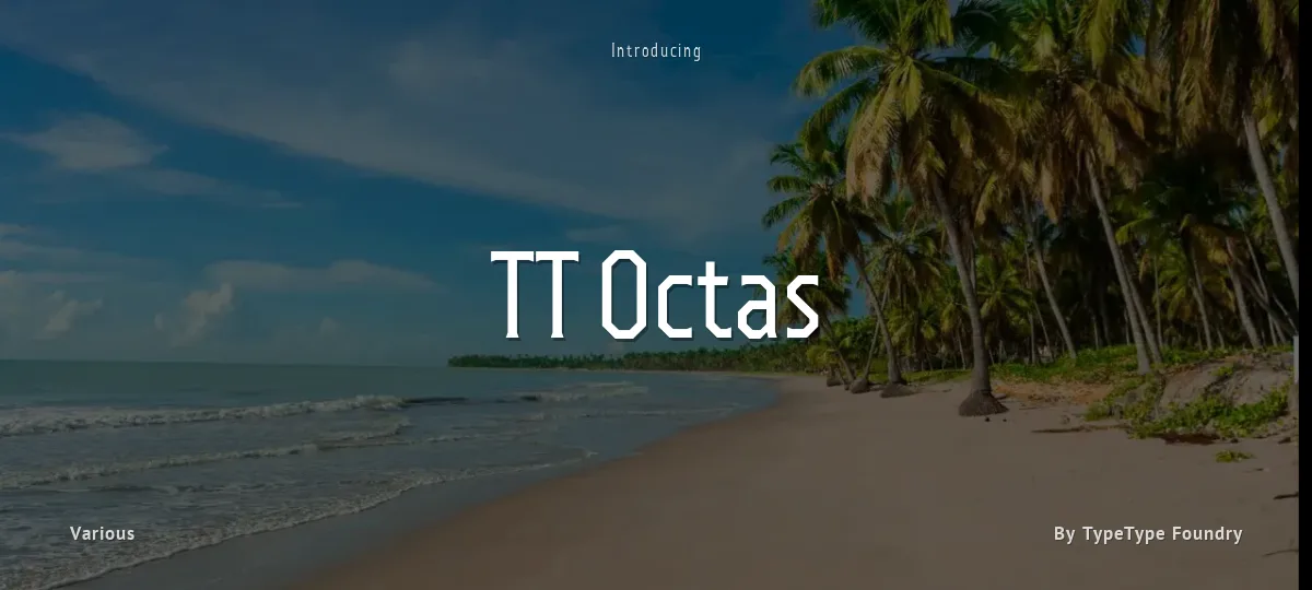 TT Octas font preview