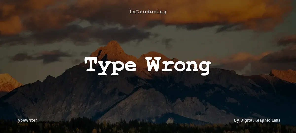Type Wrong font preview